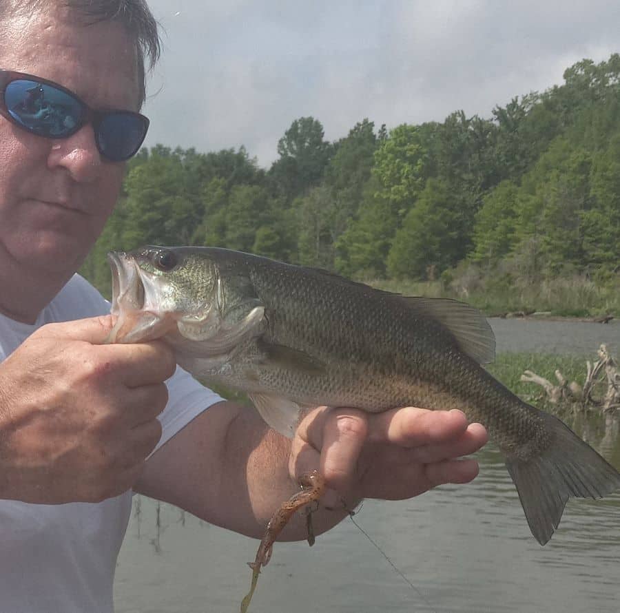 Best Bass Plastic Bait Setup For Alabama River - Come Fish Alabama